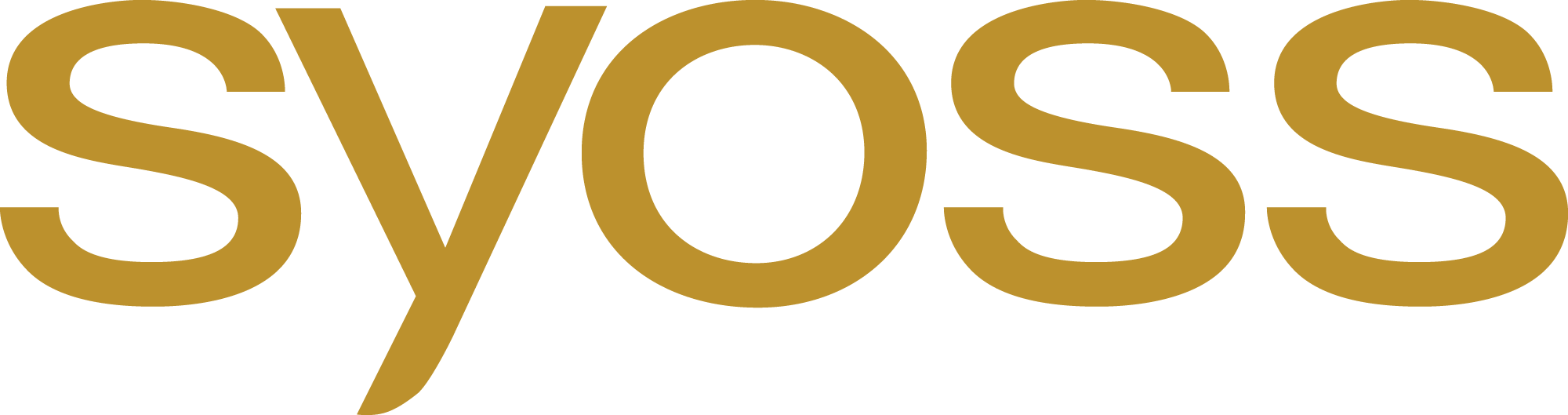 Syoss copy