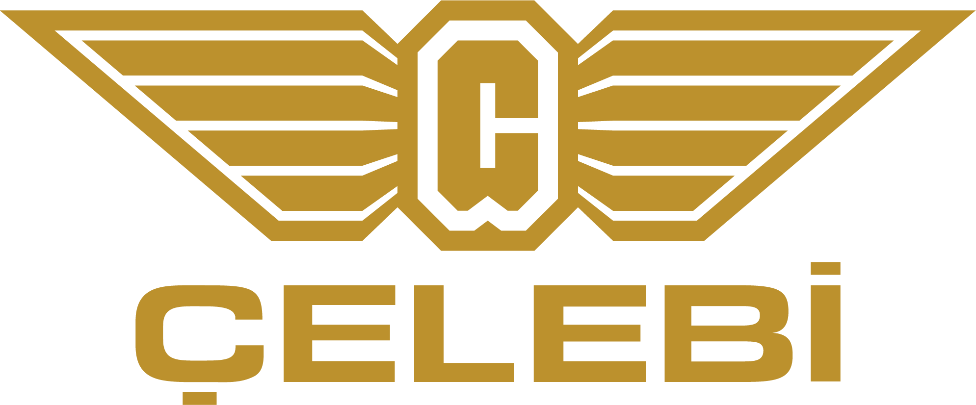 logo copy